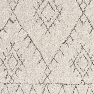 Livabliss Wilder Belgian Woven Polypropylene Area Rug Bohemian Global Pattern for Living Room WDR2003-7111011