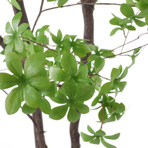 English Elm 300cmartificial Disc Leaf Faux Tropical Floor Tree for Living Rooms and Open Lobbies 74339.00