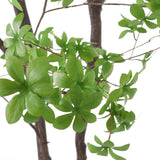 Christopher Knight Home® Noble House 300Cmartificial Disc Leaf Tree