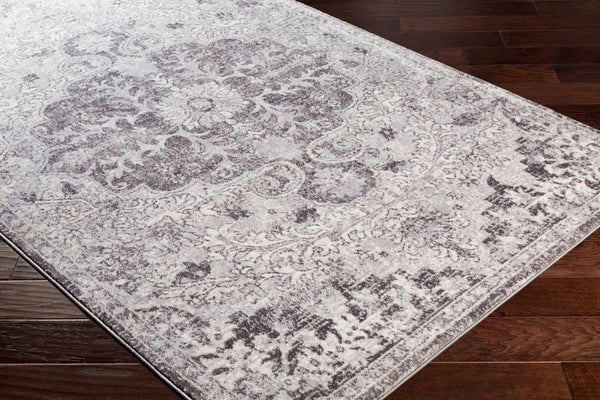 Livabliss Wanderlust Machine Woven Polyester Rug Turkish Craft Soft Pile Entryway Accent WNL2308-23