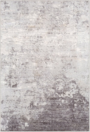 Livabliss Wanderlust Polyester Area Rug Machine Woven Minimalist Style for Modern Interiors Light Slate, Wh 5'3" x 7'3" WNL2310-5373