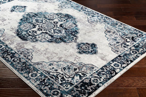 Livabliss Wanderlust Traditional Polyester Machine Woven Area Rug for Living Room Bedroom WNL2311-5373