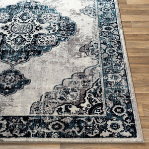 Livabliss Wanderlust Traditional Polyester Machine Woven Area Rug for Living Room Bedroom WNL2311-5373