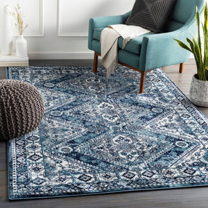 Livabliss Wanderlust Bohemian Global Polyester Area Rug Machine Woven for Living Bedroom Spaces WNL2313-5373
