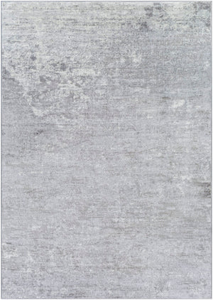 Wanderlust WNL-2329 6'7" x 9' Machine Woven Rug WNL2329-679 Livabliss Surya