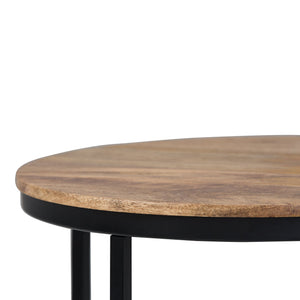 English Elm Jenna Handcrafted Round Side Table with Natural Mango Wood Top and Black Metal Frame, 24"H Light Brown B136P158984