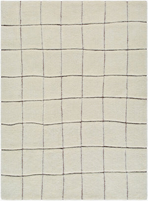Livabliss Wooly Hand-tufted Wool Blend Area Rug for Entryways Bathrooms and Bedside Spaces Ivory, Charcoal 2' x 3' WOL2301-23