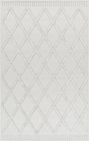 Livabliss West Palm Plush High Pile Polypropylene Area Rug for Indoor Outdoor Living Spaces WPM2306-537