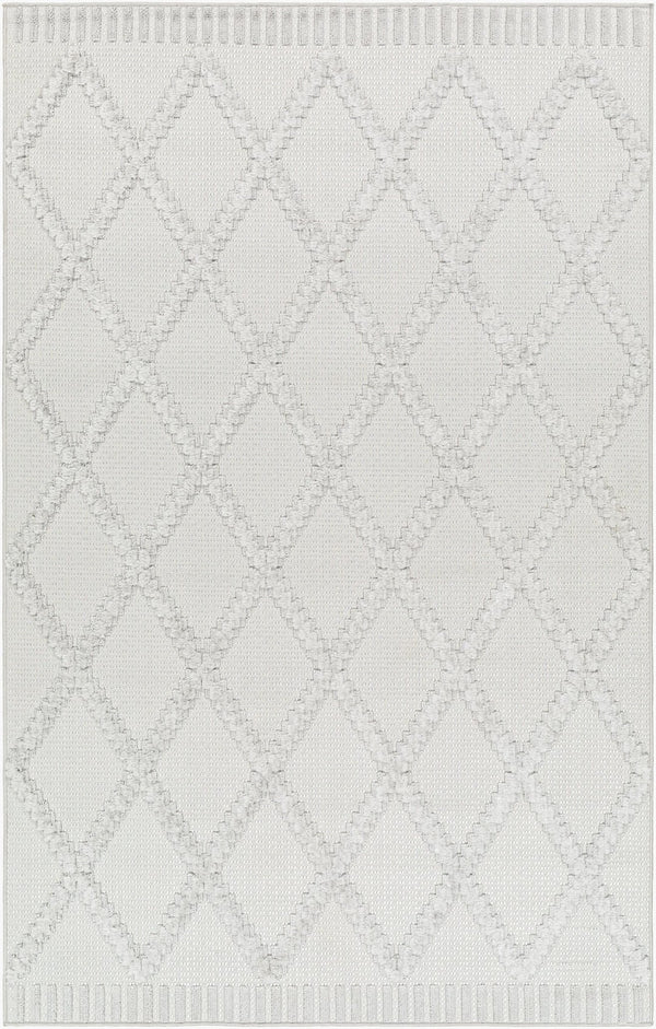 Livabliss West Palm Plush High Pile Polypropylene Area Rug for Indoor Outdoor Living Spaces WPM2306-537