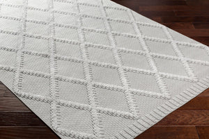 Livabliss West Palm Plush High Pile Polypropylene Area Rug for Indoor Outdoor Living Spaces WPM2306-537