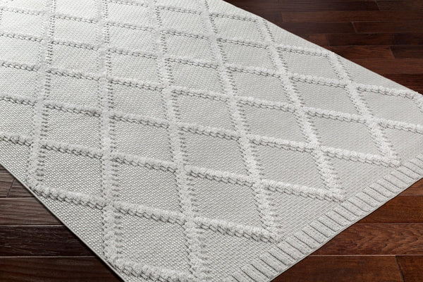 Livabliss West Palm Plush High Pile Polypropylene Area Rug for Indoor Outdoor Living Spaces WPM2306-537