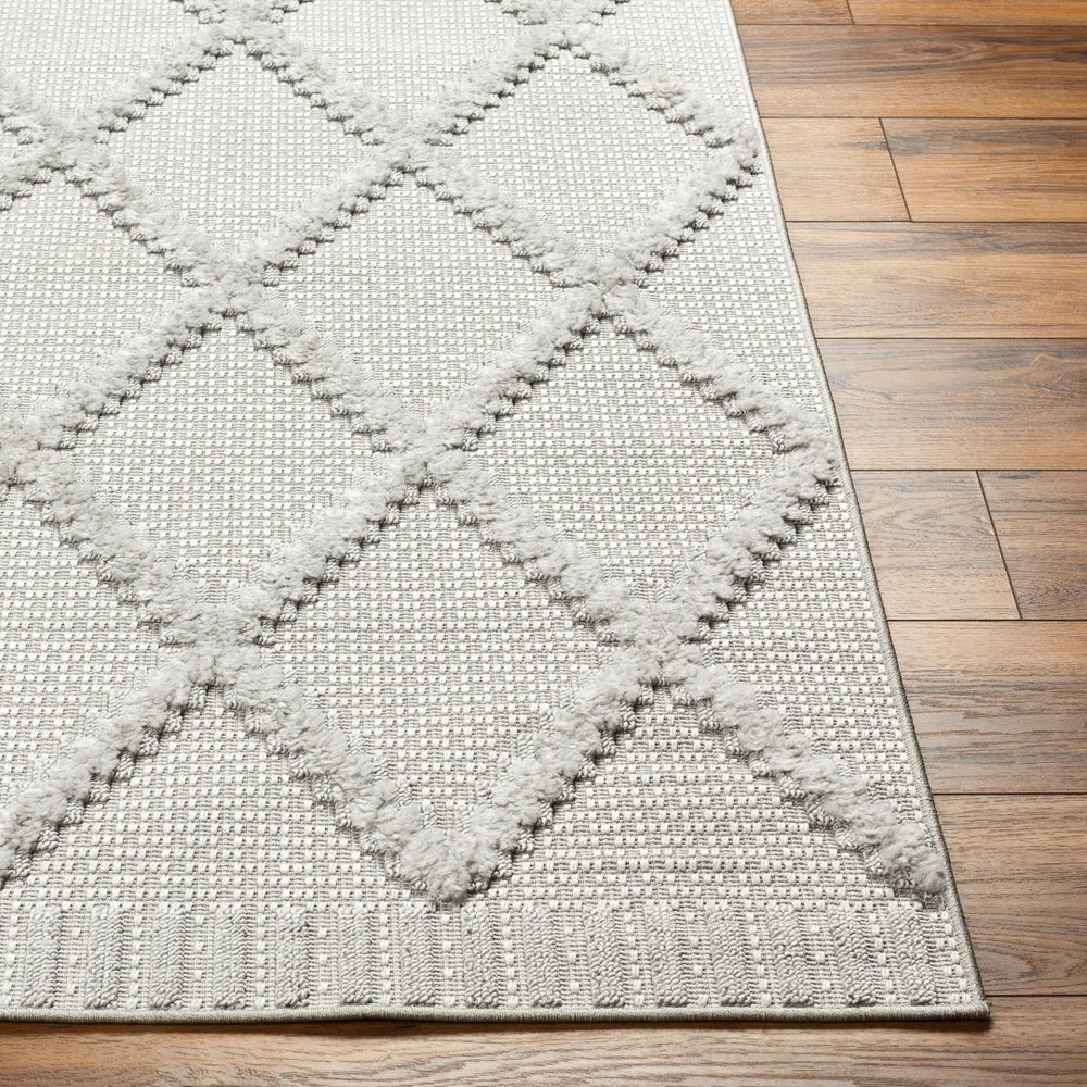 Livabliss West Palm Plush High Pile Polypropylene Area Rug for Indoor Outdoor Living Spaces WPM2306-537