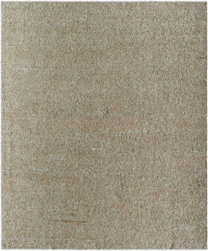Surya Wabi Sabi Handcrafted 10' X 14' Wool Rug – Rustic Charm, Timeless Beauty For Elegant Living Spaces Beige Wool Wsb2307-810