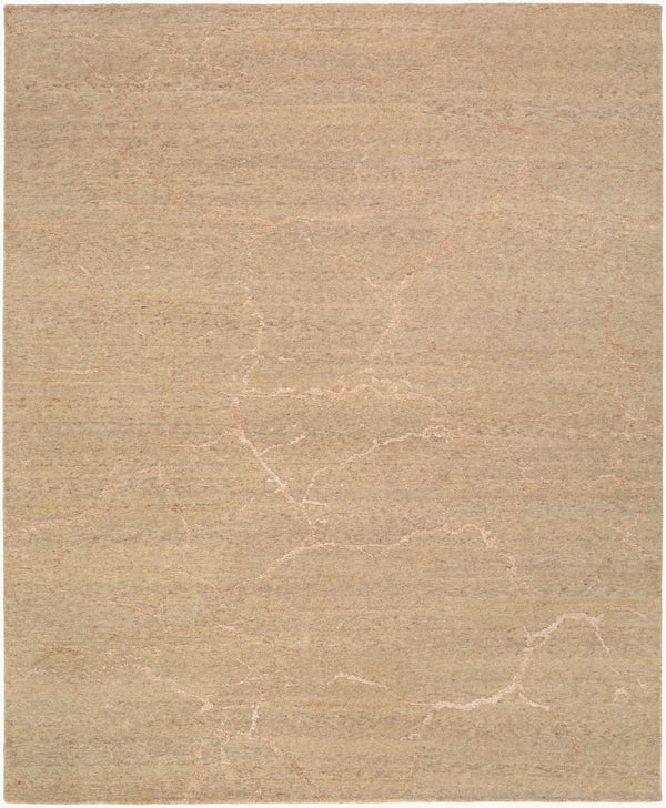 Surya Washington Hand Knotted Wool Tencel Blend Rug Art Deco Living Room Floor Accent 10' x 14' Rectangle WSG2301-1014