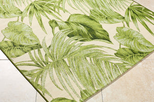 Livabliss Warsaw Coastal Flatweave Area Rug Machine Woven Polypropylene Blend for Any Room Olive Green, C 7'10" x 10' WSW2301-71010