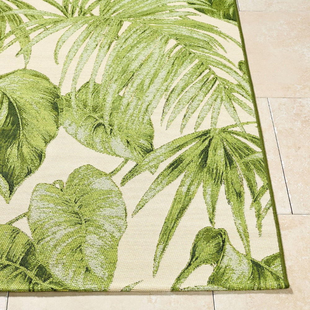 Livabliss Warsaw Coastal Flatweave Area Rug Machine Woven Polypropylene Blend for Any Room Olive Green, C 7'10" x 10' WSW2301-71010