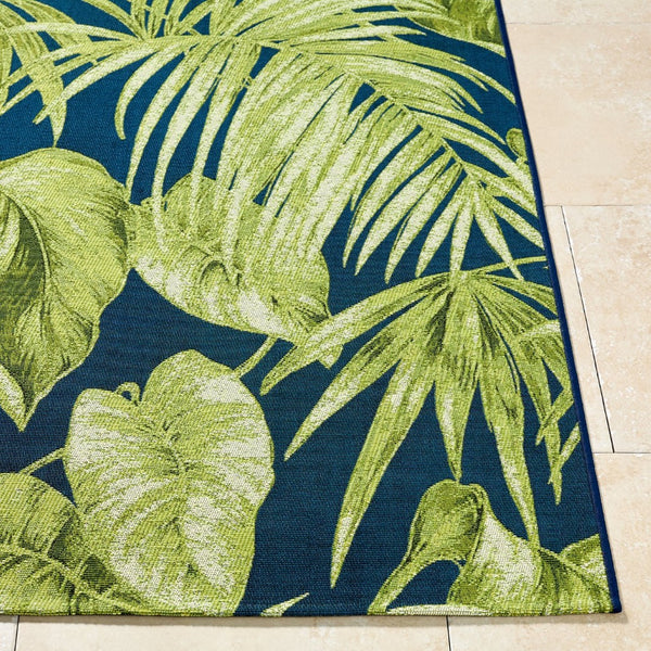 Livabliss Warsaw Coastal Flatweave Area Rug Machine Woven Polypropylene Blend for Living Spaces Lime Green, De 6'7" x 9' WSW2302-679