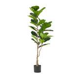 Christopher Knight Home® - Noble House - Socorro 5' X 2' Artificial Fiddle-Leaf Fig Tree, Green