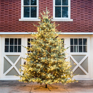 Park Hill Blue Spruce Christmas Tree, 12' XPQ82167 Park Hill