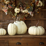 Full Moon Pumpkin Collection, Set of 5 FBY81037 Park Hill