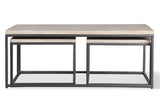 Parker House Crossings Monaco Rectangular Nesting Cocktail Table Weathered Blanc Solid Mango MON#01