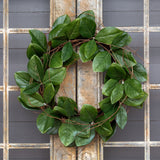 Magnolia Leaf and Twig Wreath EBW01063 Park Hill