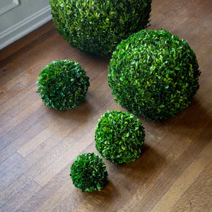 Preserved Boxwood Ball, 8" EBD80083 Park Hill