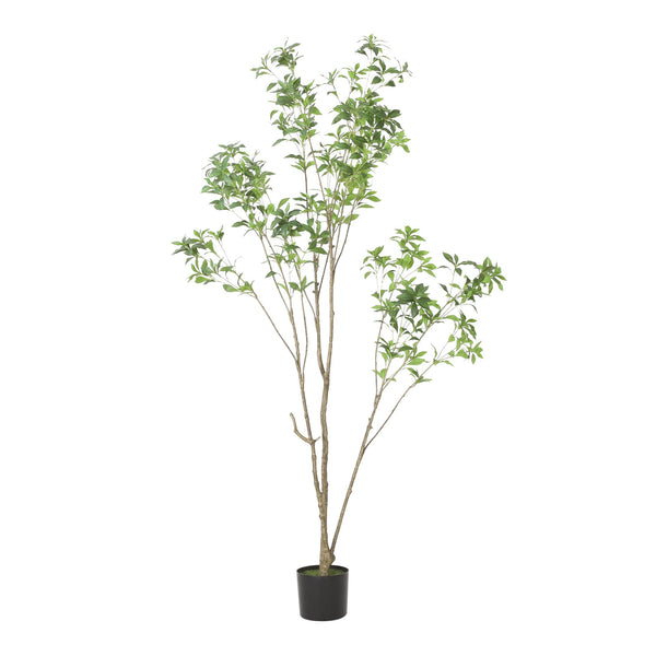 English Elm 210cmartificial Pieris Tree Nearly 7 Foot Faux Indoor Statement Plant Iron Frame 74346.00