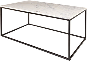 Aryaa YAA-001 18"H x 22"W x 42"D Coffee Table YAA-001 Livabliss Surya