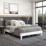 English Elm Steve Silver - Nix - Queen Platform Bed - White