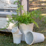 Distressed Concrete Tall Planter, Large ECL20516 Park Hill