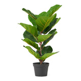 Christopher Knight Home® - Noble House - Socorro 2' X 1' Artificial Tabletop Fiddle-Leaf Fig Tree, Green