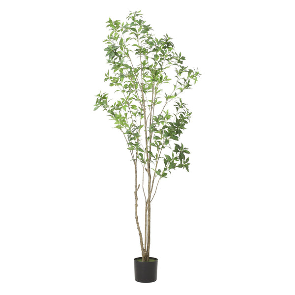 English Elm 210cmartificial Pieris Tree Nearly 7 Foot Faux Indoor Statement Plant Iron Frame 74346.00