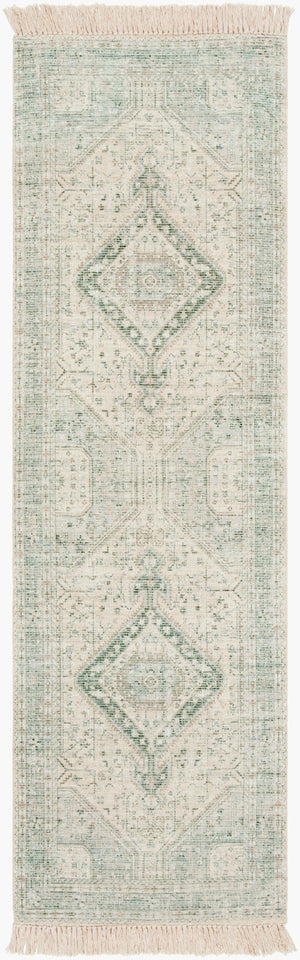 Livabliss Zainab Handwoven Flatweave Accent Rug with Fringe for Entryways and Hallways Sage, Dark Gree 2'6" x 8' ZAI2303-268
