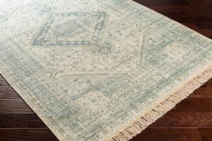 Livabliss Zainab Handwoven Flatweave Accent Rug with Fringe for Entryways and Hallways Sage, Dark Gree 8'10" x 12' ZAI2303-81012