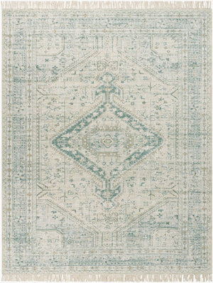 Livabliss Zainab Handwoven Flatweave Accent Rug with Fringe for Entryways and Hallways Sage, Dark Gree 8' x 10' ZAI2303-810