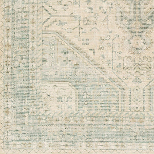 Livabliss Zainab Handwoven Flatweave Accent Rug with Fringe for Entryways and Hallways Sage, Dark Gree 8'10" x 12' ZAI2303-81012