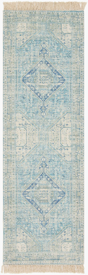 Livabliss Zainab Handwoven Flatweave Cotton Accent Rug with Fringe for Entryways and Hallways Aqua, Ink Blue 2'6" x 8' ZAI2304-268