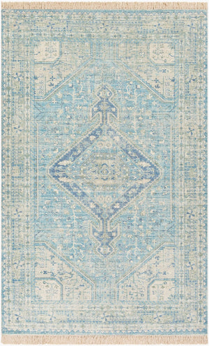 Livabliss Zainab Handwoven Flatweave Cotton Accent Rug with Fringe for Entryways and Hallways Aqua, Ink Blue 8'10" x 12' ZAI2304-81012