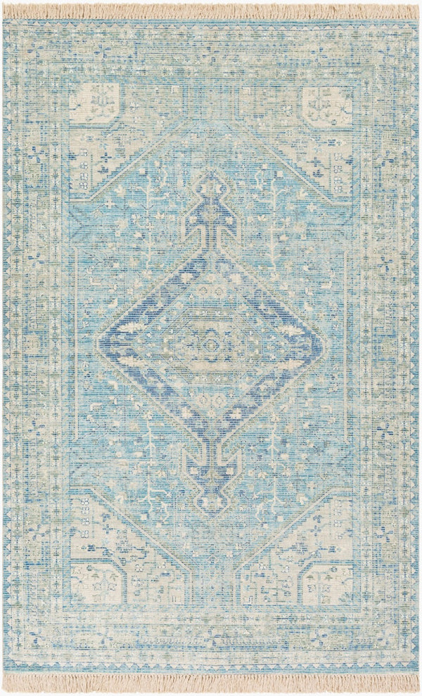 Livabliss Zainab Handwoven Flatweave Cotton Accent Rug with Fringe for Entryways and Hallways Aqua, Ink Blue 8'10" x 12' ZAI2304-81012