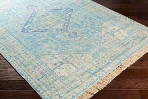 Livabliss Zainab Handwoven Flatweave Cotton Accent Rug with Fringe for Entryways and Hallways Aqua, Ink Blue 8'10" x 12' ZAI2304-81012