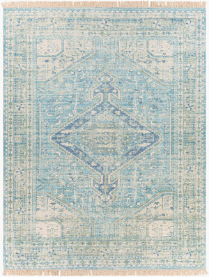 Livabliss Zainab Handwoven Flatweave Cotton Accent Rug with Fringe for Entryways and Hallways Aqua, Ink Blue 8' x 10' ZAI2304-810