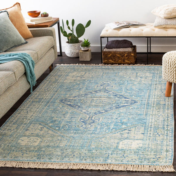 Livabliss Zainab Handwoven Flatweave Cotton Accent Rug with Fringe for Entryways and Hallways Aqua, Ink Blue 8'10" x 12' ZAI2304-81012