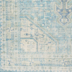 Livabliss Zainab Handwoven Flatweave Cotton Accent Rug with Fringe for Entryways and Hallways Aqua, Ink Blue 8'10" x 12' ZAI2304-81012