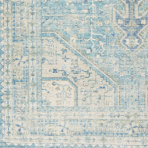 Livabliss Zainab Handwoven Flatweave Cotton Accent Rug with Fringe for Entryways and Hallways Aqua, Ink Blue 8'10" x 12' ZAI2304-81012