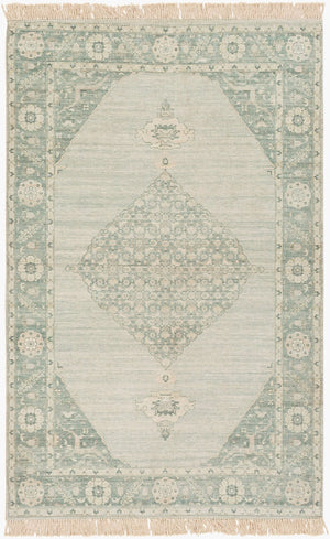 Livabliss Zainab Handwoven Flatweave Accent Rug Bohemian Fringe Cotton Blend Entryway Mat ZAI2306-23