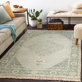 Zainab ZAI-2306 5' x 7'6" Handmade Rug ZAI2306-576 Livabliss Surya