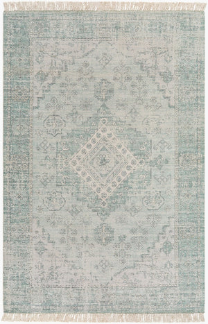 Livabliss Zainab Handwoven Flatweave Cotton Area Rug Traditional Pattern for Entryway or Bath Sage, Dark Gree 2' x 3' ZAI2311-23