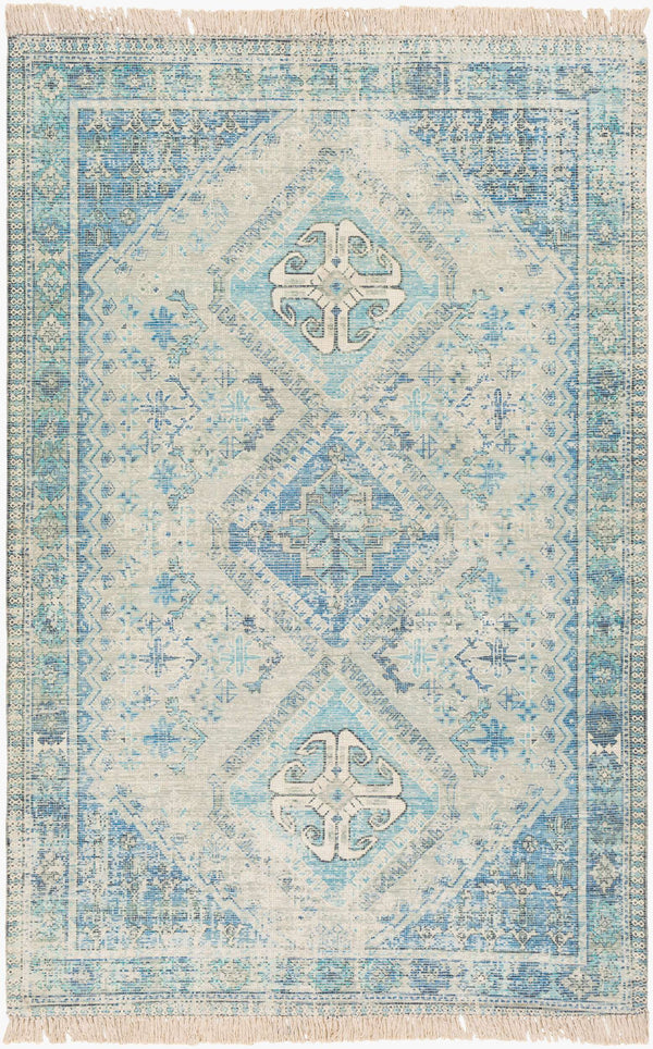 Surya Zainab Handmade 2' X 3' Area Rug - Traditional Cotton & Polyester Design For Timeless Elegance Aqua Cotton,Polyester Zai2314-234