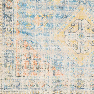 Surya Zainab Handmade 2' X 3' Area Rug - Traditional Cotton & Polyester Design For Timeless Elegance Aqua Cotton,Polyester Zai2315-234